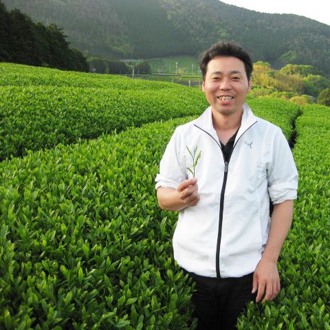 tea exclusive - Shincha Japanischer Grüner Tee bio