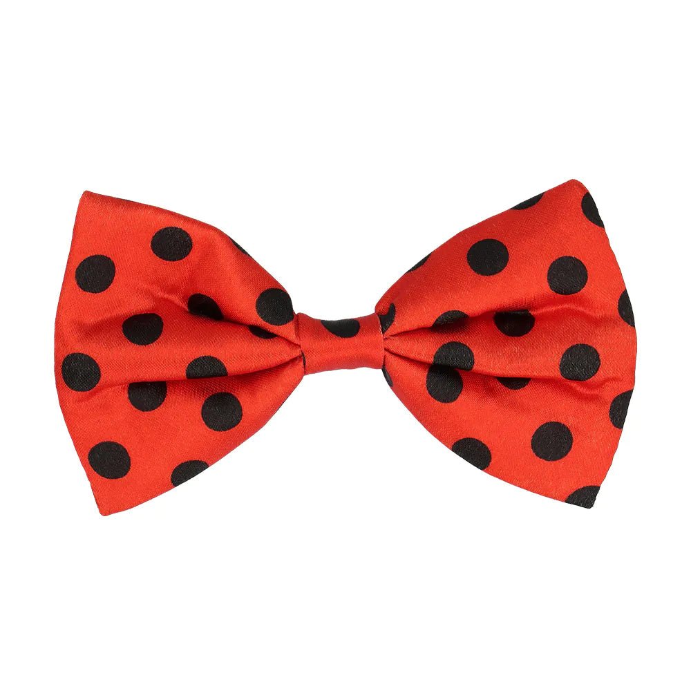 Lieveheersbeestje Accessoireset Rood Zwart 3 delig