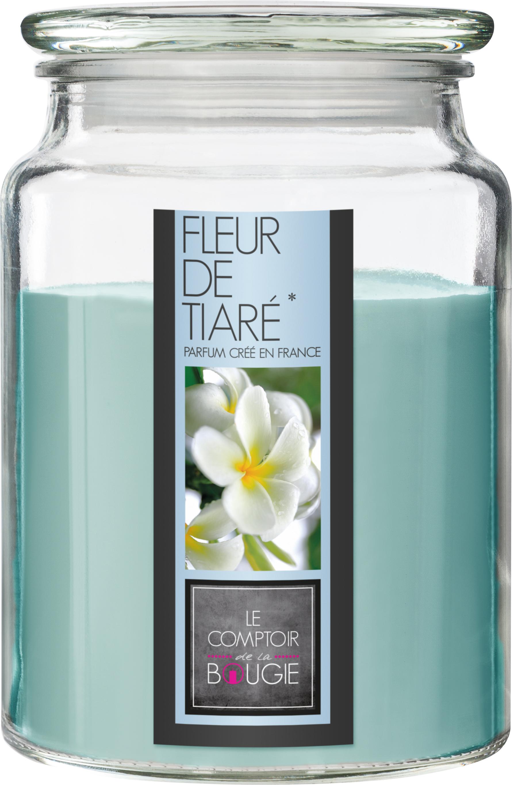 BOUGIE PARFUMEE VERRE FLEUR TIARE NINA 510G