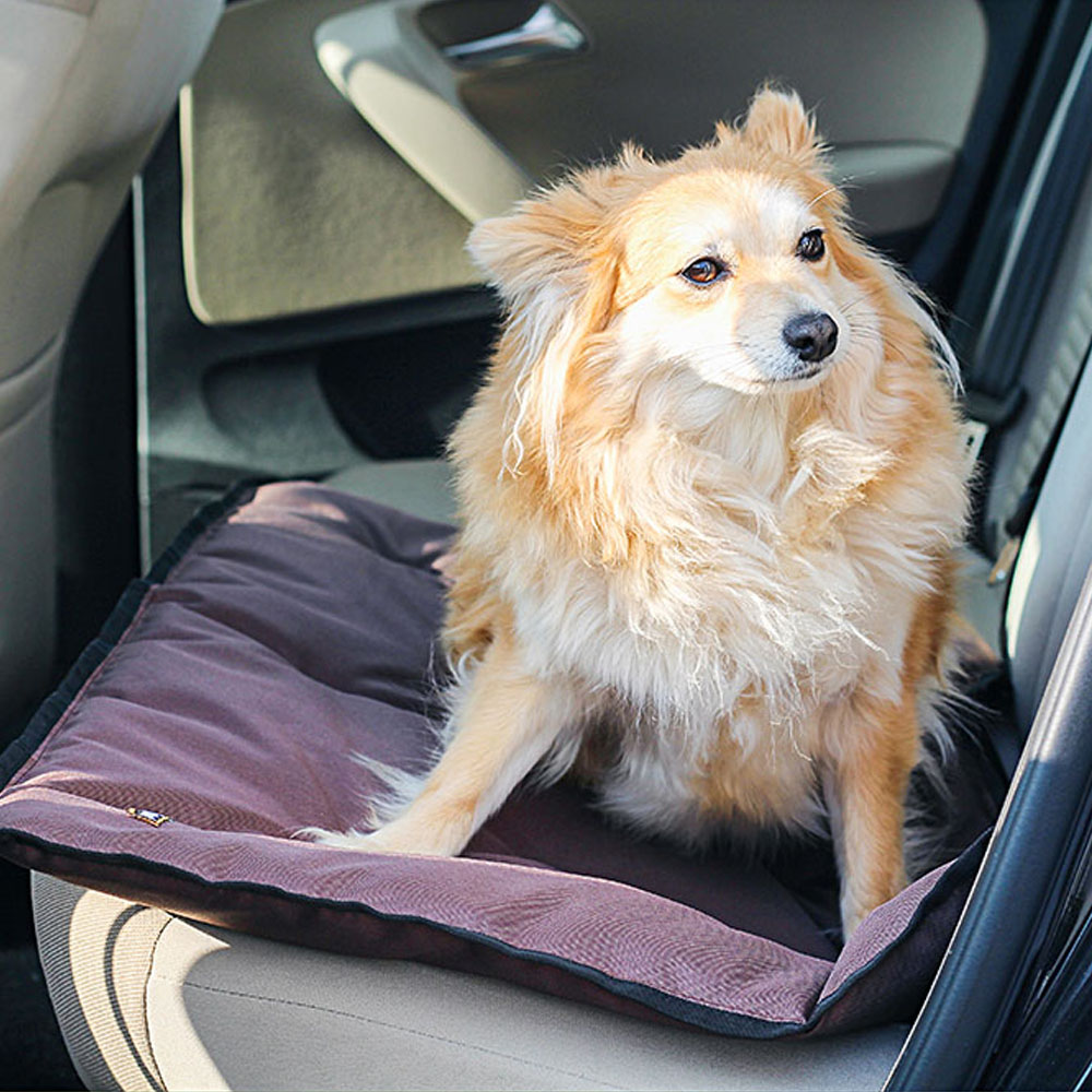 Ferplast panier pour chien chat - lit chien moyen lavable - matelas chien - coussin chien chat - imperméable & anti-rayures -