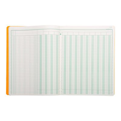 Exacompta - Piqûre comptable - 13 colonnes sur 2 pages - 32 x 25 cm - 80 pages