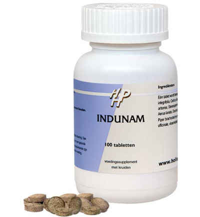Ayurveda Indunam (100 tabletten)