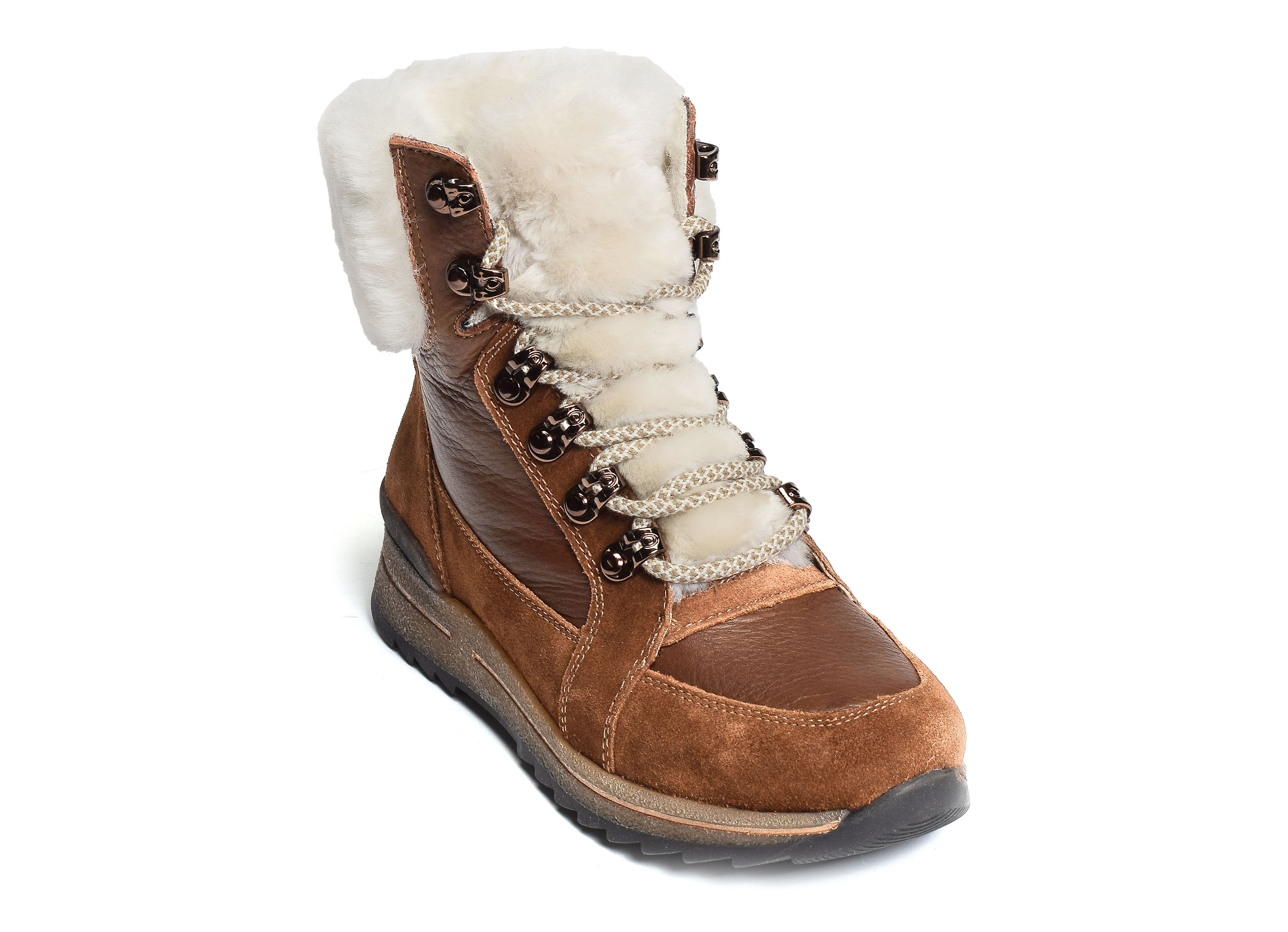 Osaka sport camel