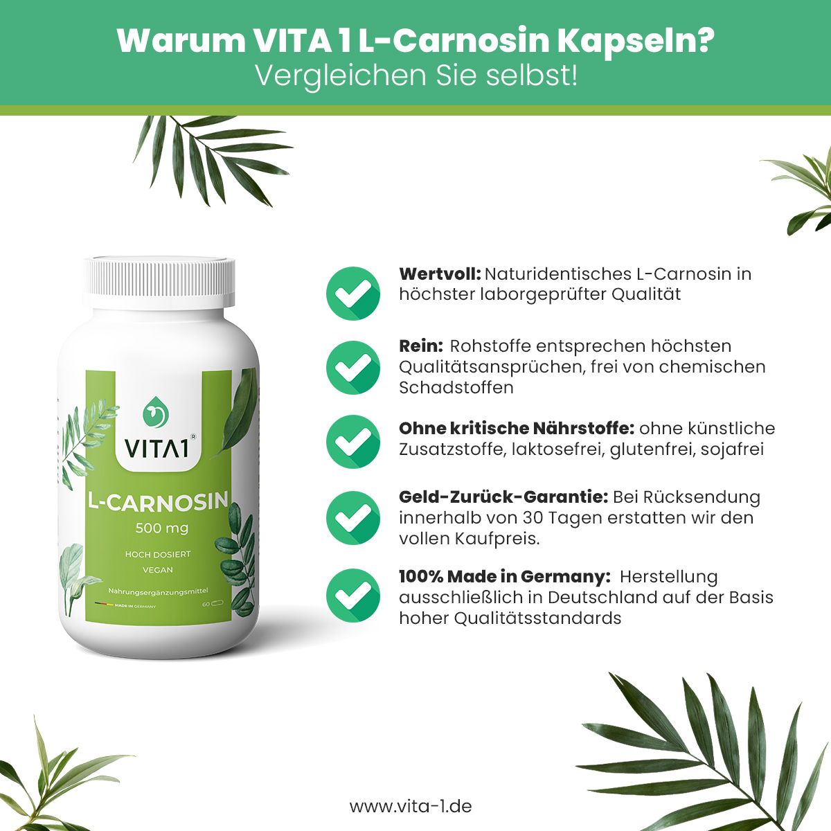 VITA1 L-Carnosin, 500 mg
