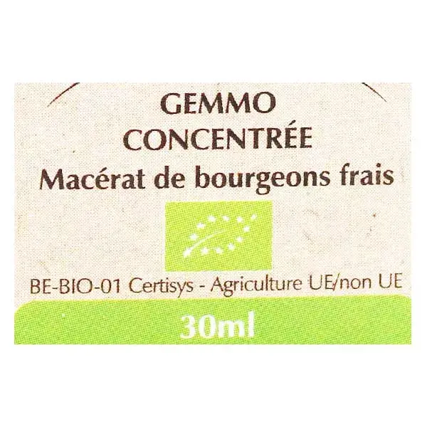 Concentrado de Castanha Orgânica Herbalgem Macerado 30ml