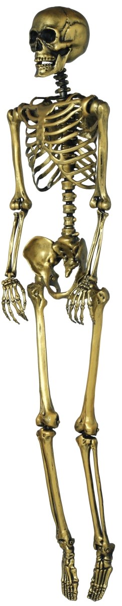 Halloween Goud Skelet 90cm