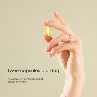 Proceive Zwanger Omega 3 Capsules 60CP