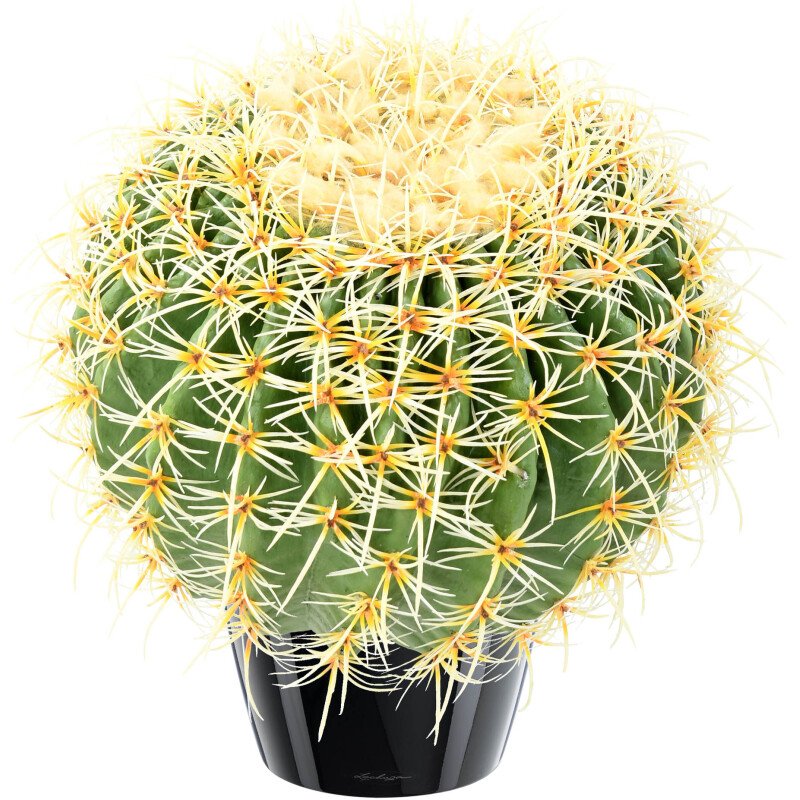 Cactus boule diamètre 37 cm artificiel d'intérieur