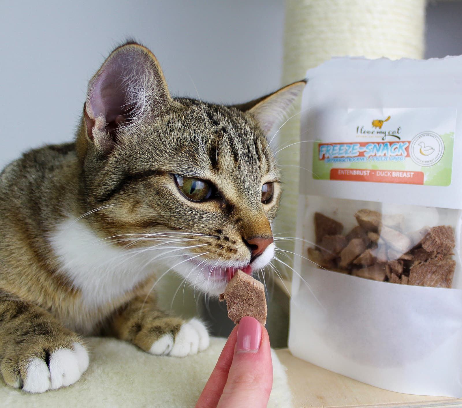 I love my cat Freeze-Snack für Katzen - Entenbrust (gefriergetrocknet)