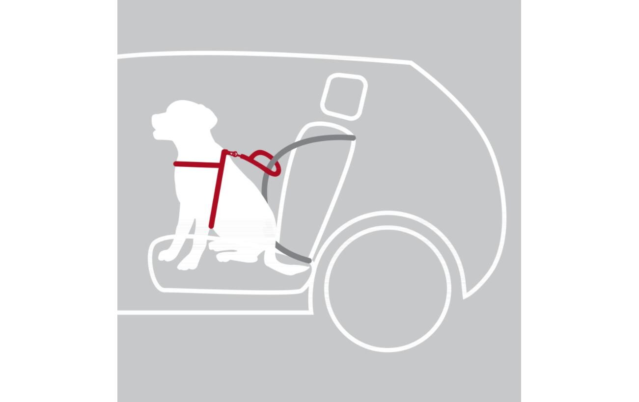 Auto-Geschirr Dog Protect S-MZur Befestigung beim Autofahren