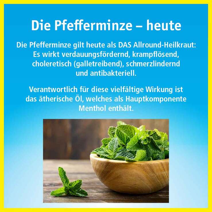 China Oel mit 3 Inhalatoren, 100 ml