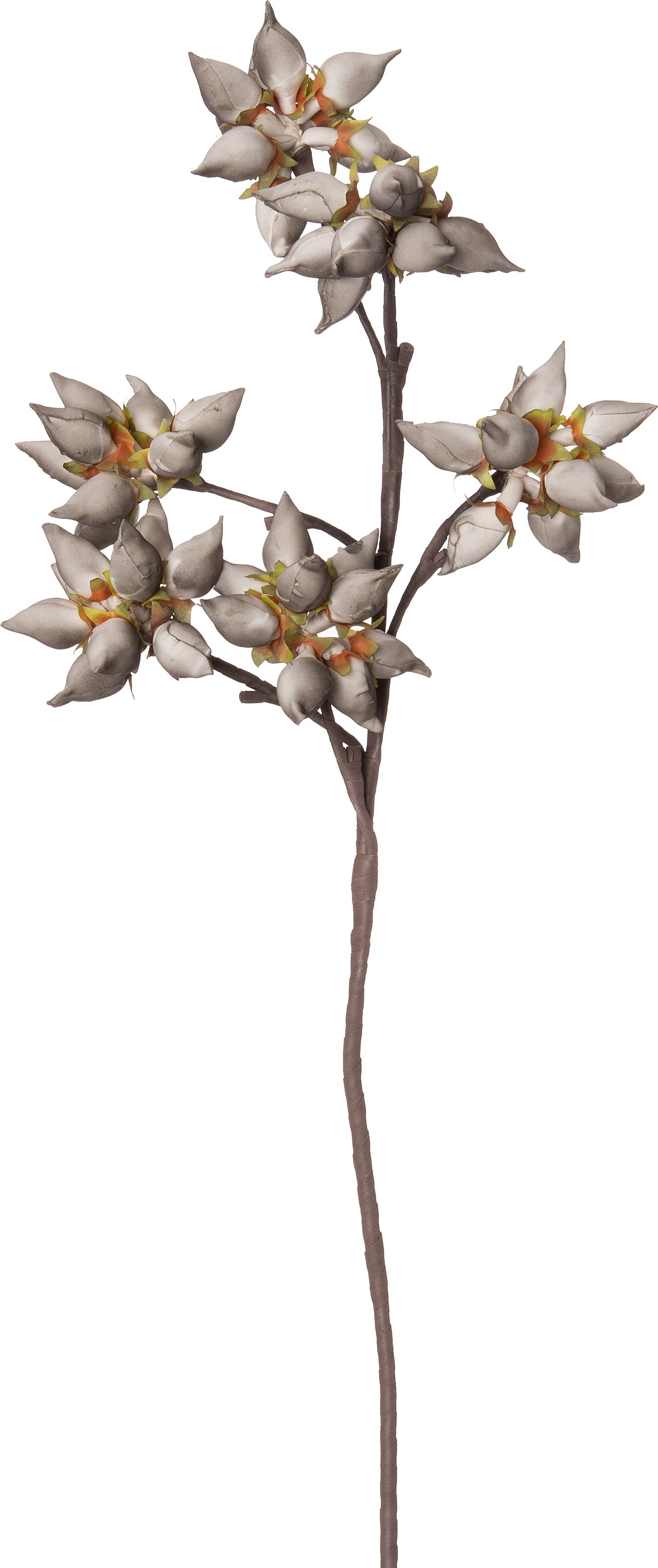 Intratuin kunstbloem bloemknoppen grijs 97 cm