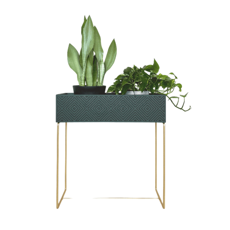 Nevi the plantbox Tannengrün, Gold L