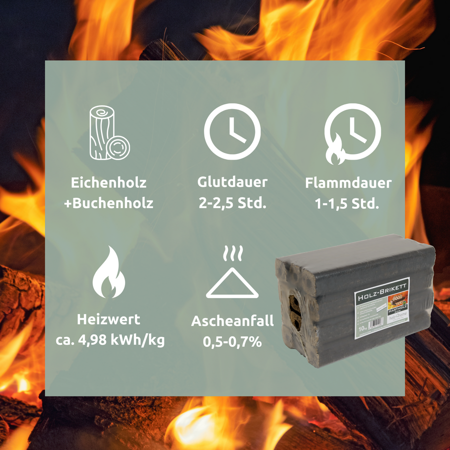 holz4home Pini Kay eiken briketten, 1 pak van 10 kg