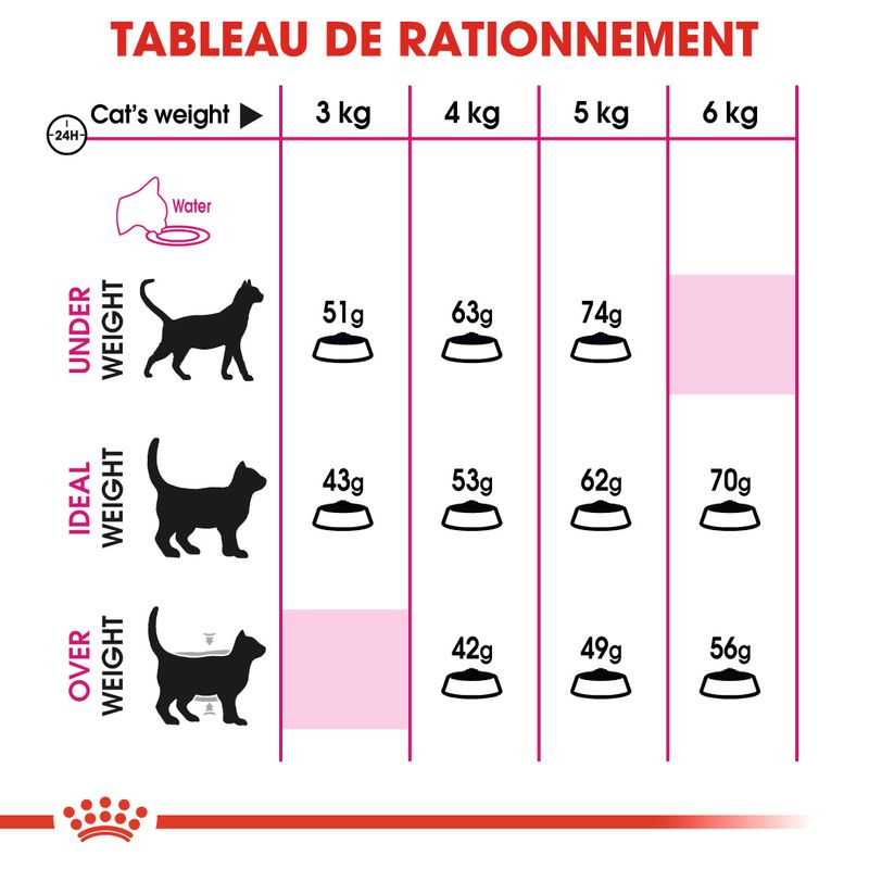 Royal Canin Savour Exigent à prix discount sur bitiba.fr