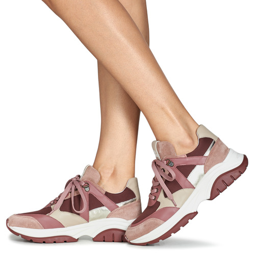 Bullboxer -  - Rose / Bordeaux