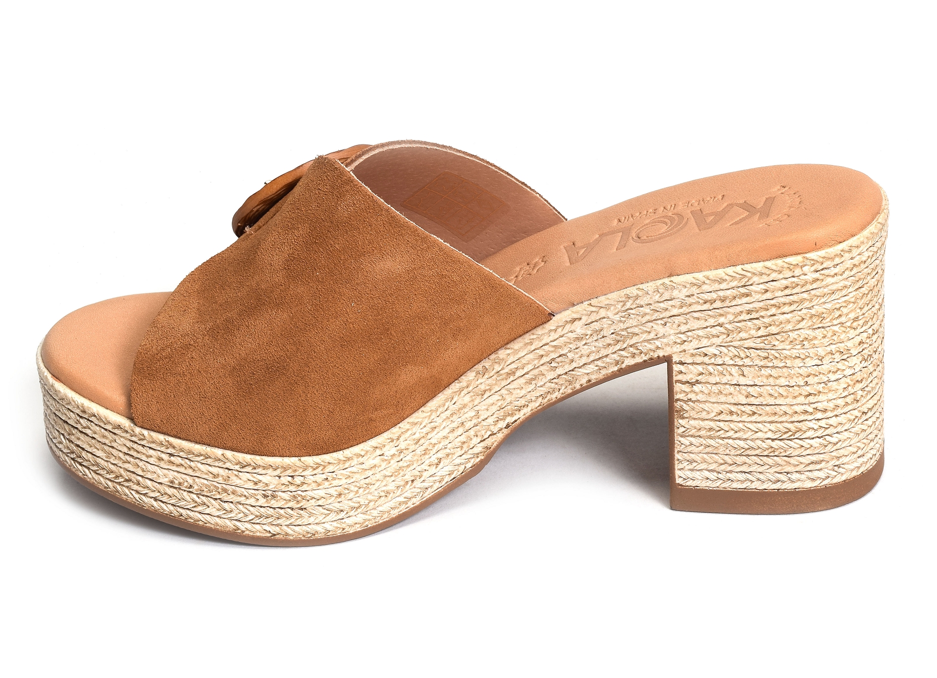 2503 camel