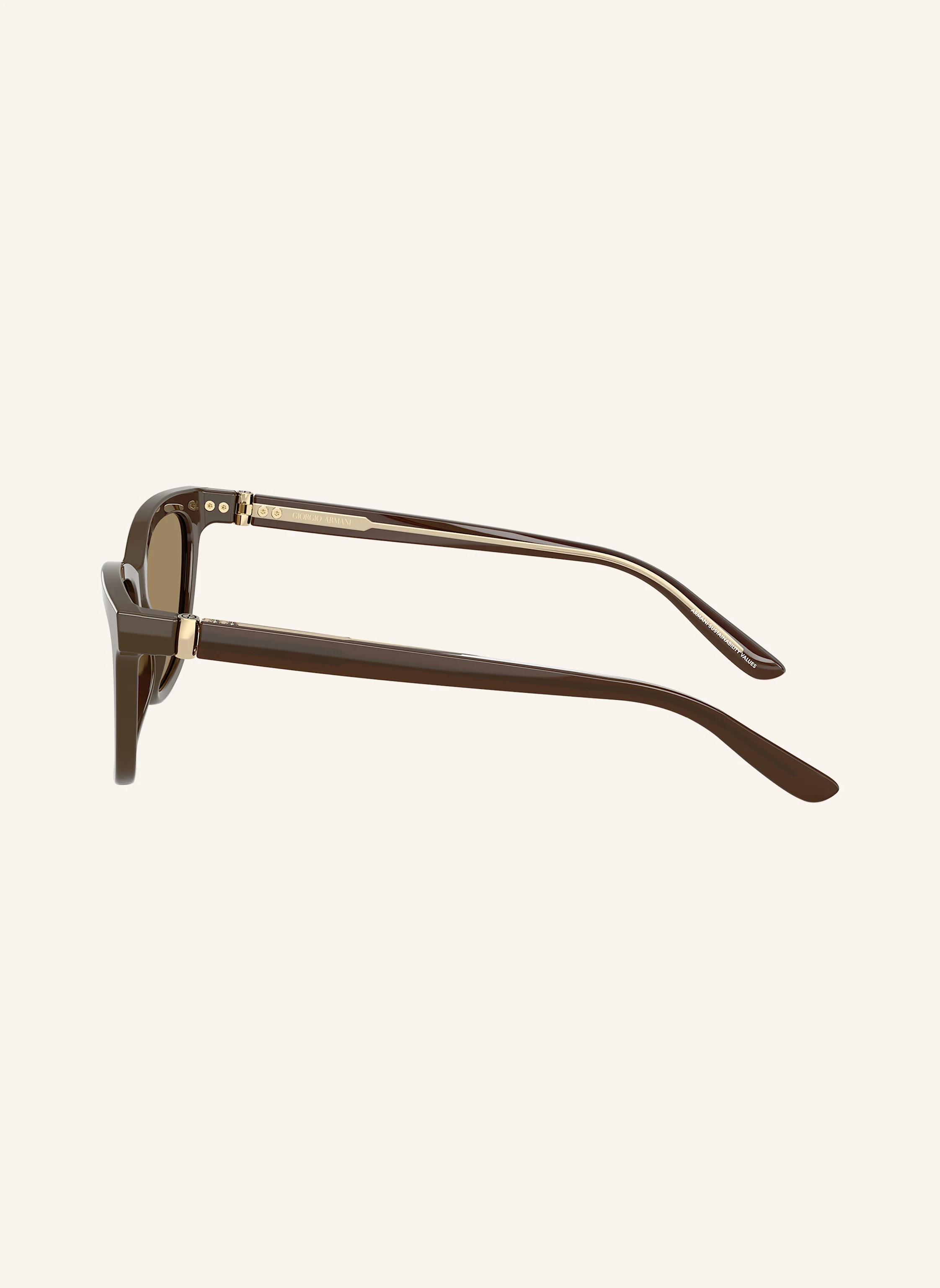 GIORGIO ARMANI Sonnenbrille AR8221