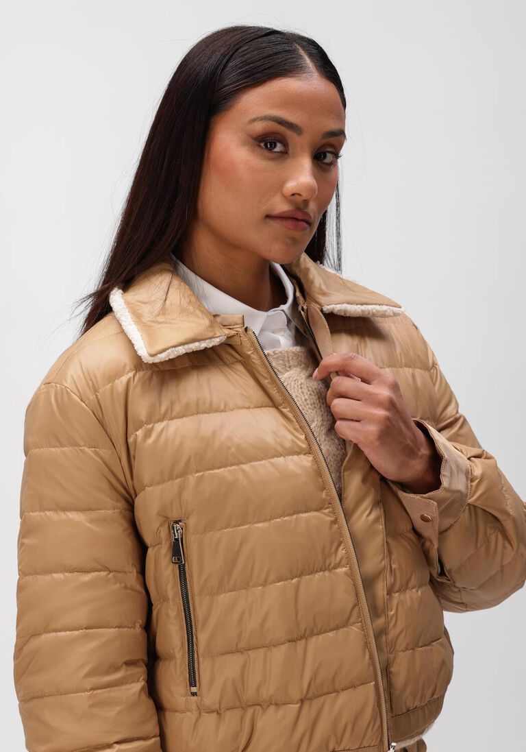 camel luisa cerano  438530/4186-16
