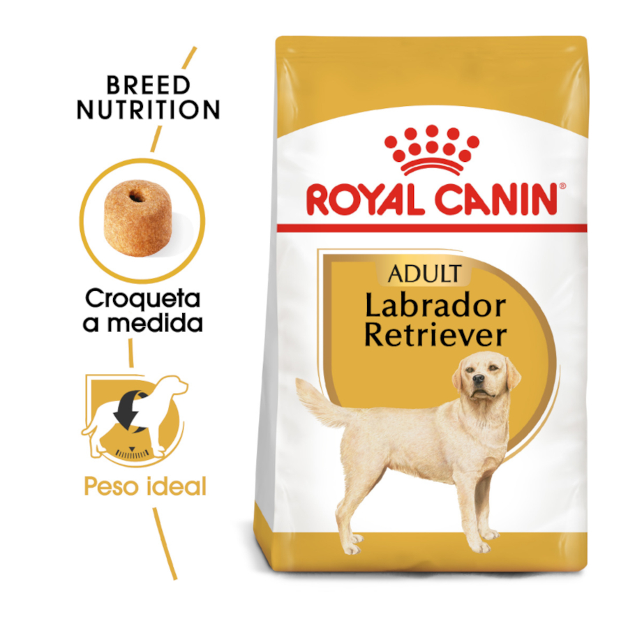 Ração Royal Canin Adult para cães da raça Labrador Retriever