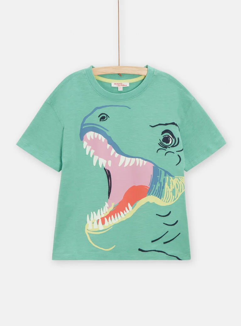 T-shirt vert clair animation dinosaures pour garçon