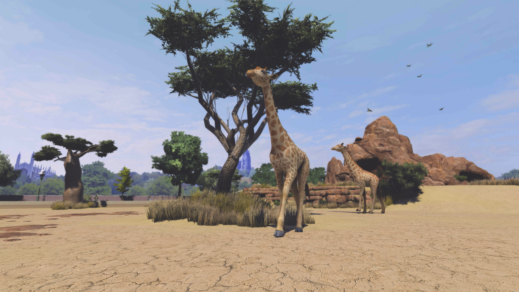 Zoo Tycoon: Ultimate Animal Collection- PC