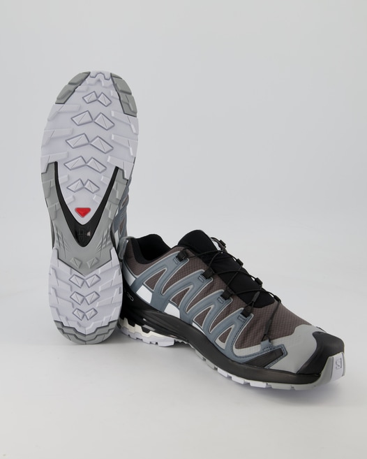 Salomon XA Pro 3D v8 GTX Wanderschuhe in Grau