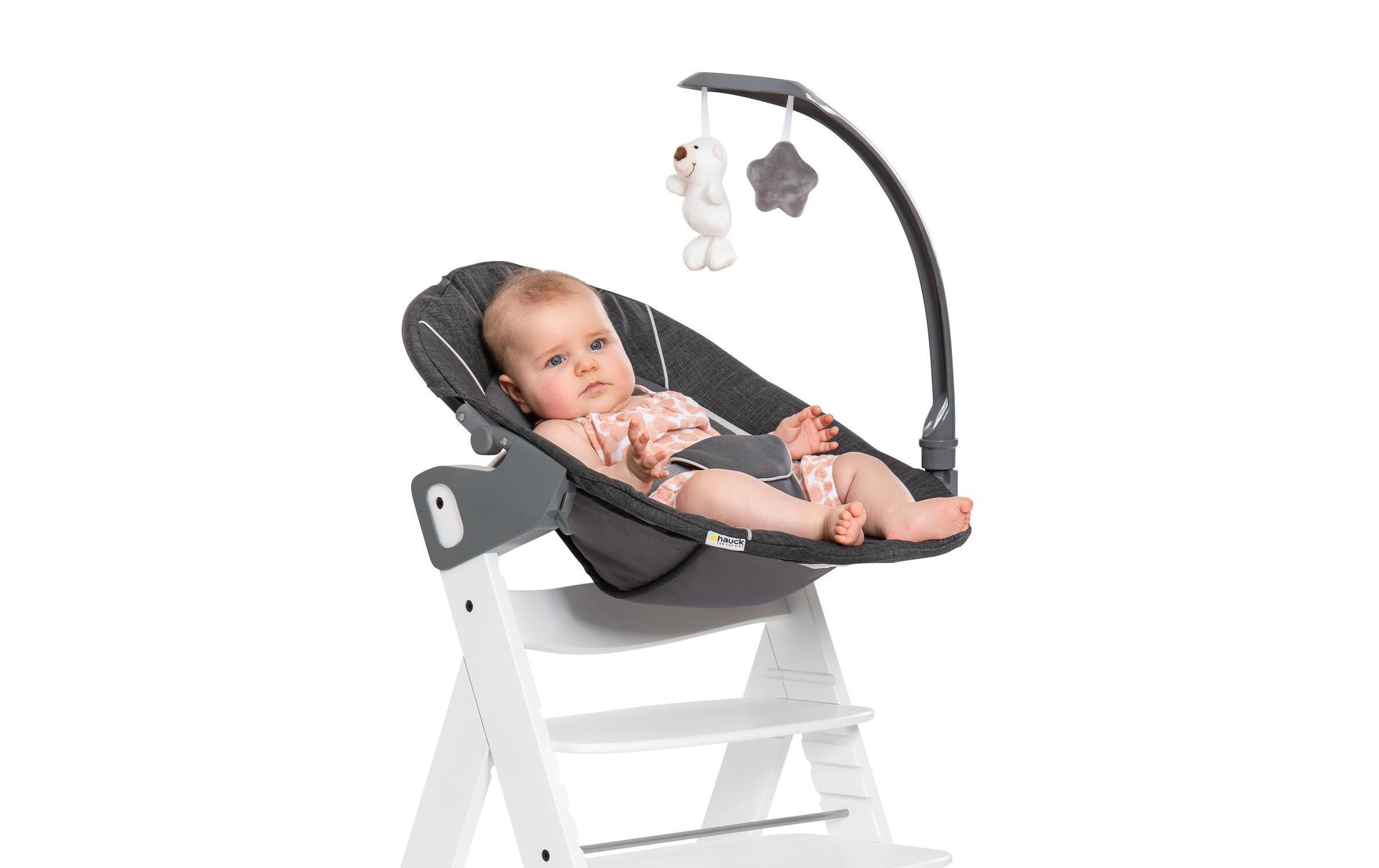 Hochstuhlaufsatz Alpha Bouncer DeluxeHochstuhlaufsatz Alpha Bouncer Deluxe, Anthrazit