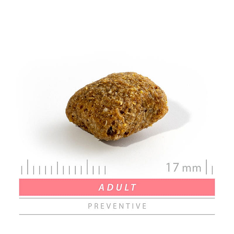 Sanimed Adult Dog kopen | Dierapotheker.nl