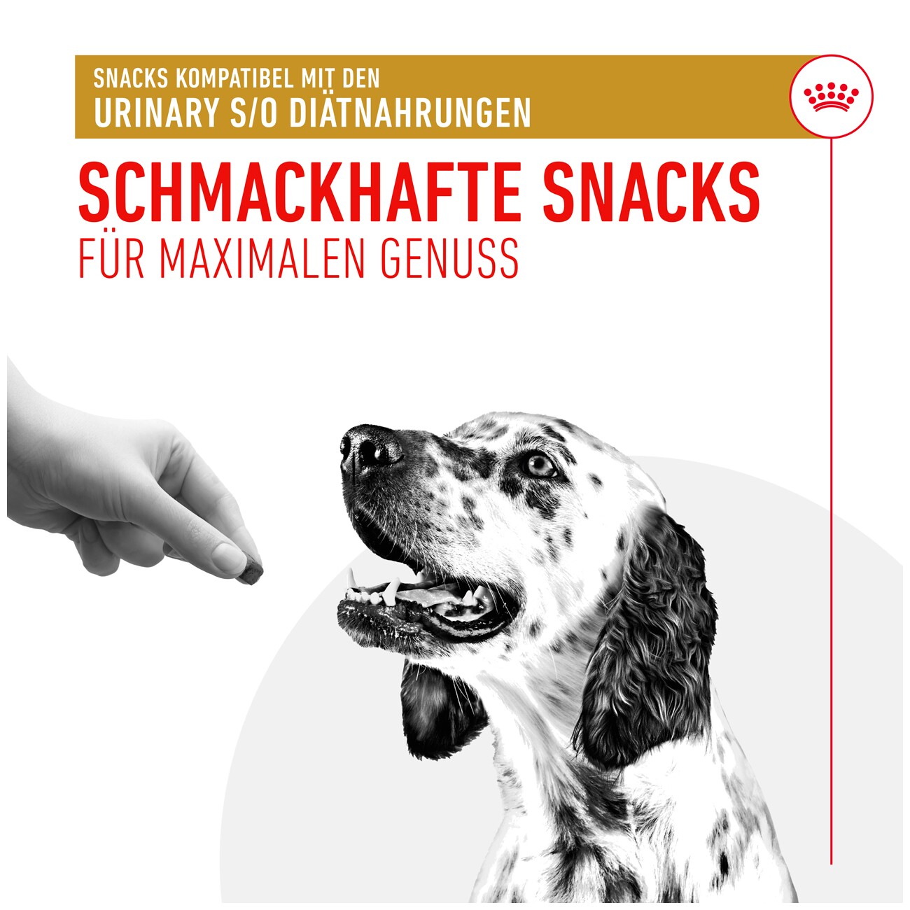 ROYAL CANIN Snacks Adult, Urinary S/O