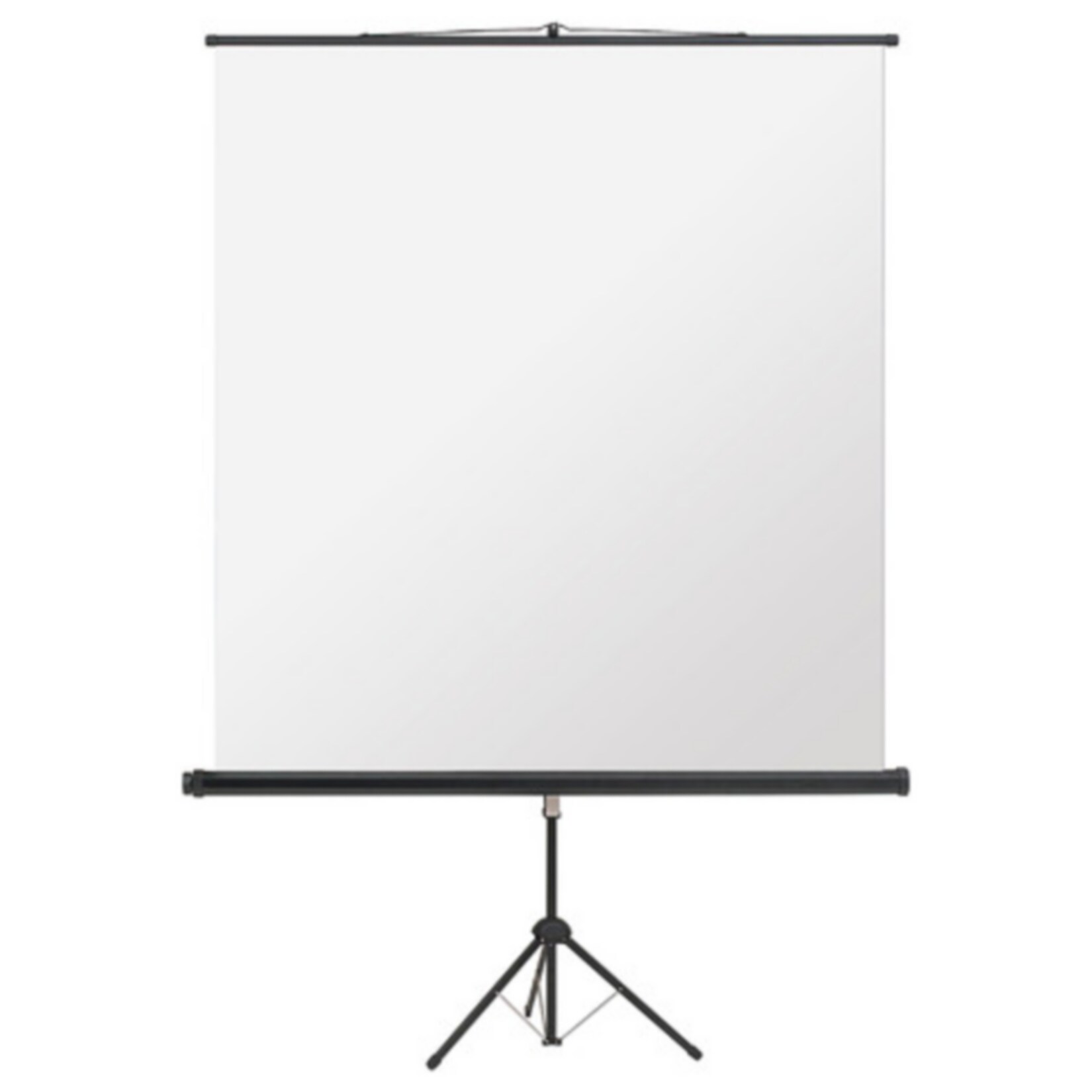 magnetoplan Cinstativ Projektionswand-Stativ für 2000 x 2000 mm