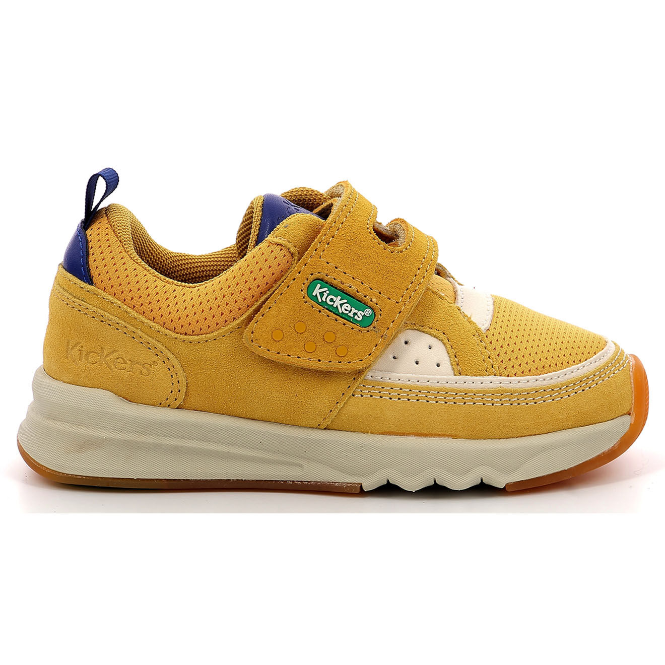 Kickers Baskets en Cuir Kikustom camel/marine