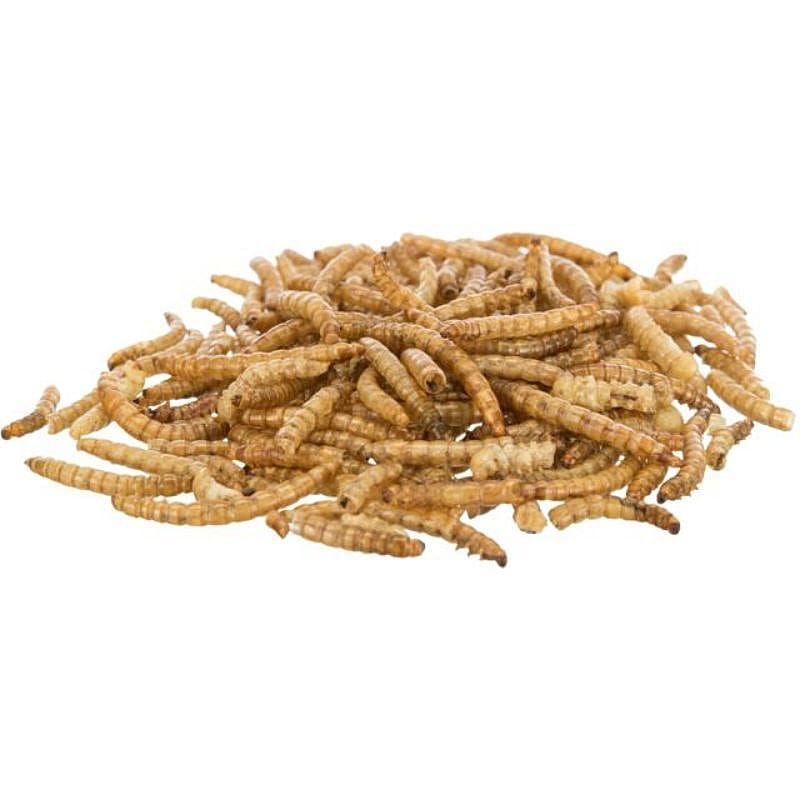 Trixie Meelwormen Gedroogd 70 gram Knaagdier | 13715