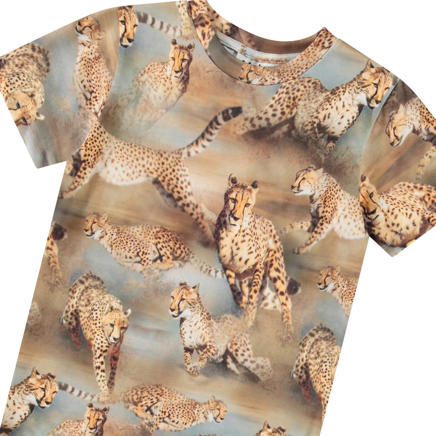 Ralphie - Fast Cheetahs