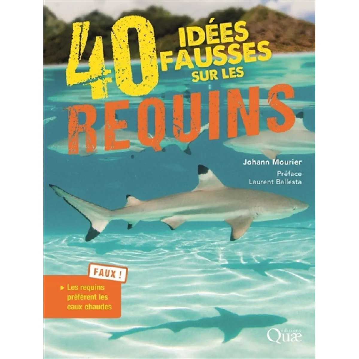 40 idées fausses sur les requins · Occasion