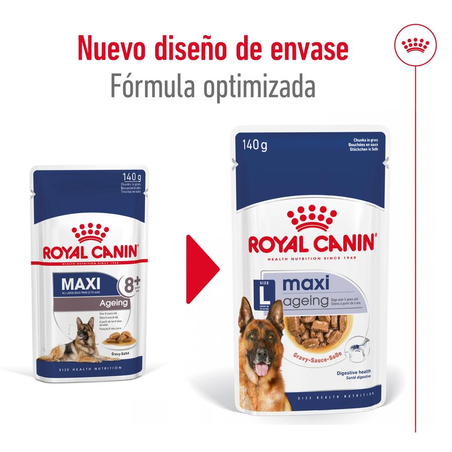 Sachê Royal Canin Maxi Ageing em molho para cães