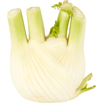 Jumbo Venkel