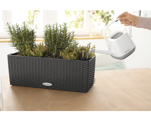 Lechuza Balconera Cottage plantenbak, kunststof, 50x19x19 cm, granieten afwerking, inclusief zelfbewateringssysteem en waterniveau-indicator.