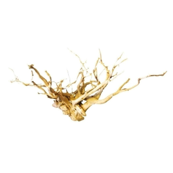 Décor aquarium/terrarium: Racine araignée 30-42 cm