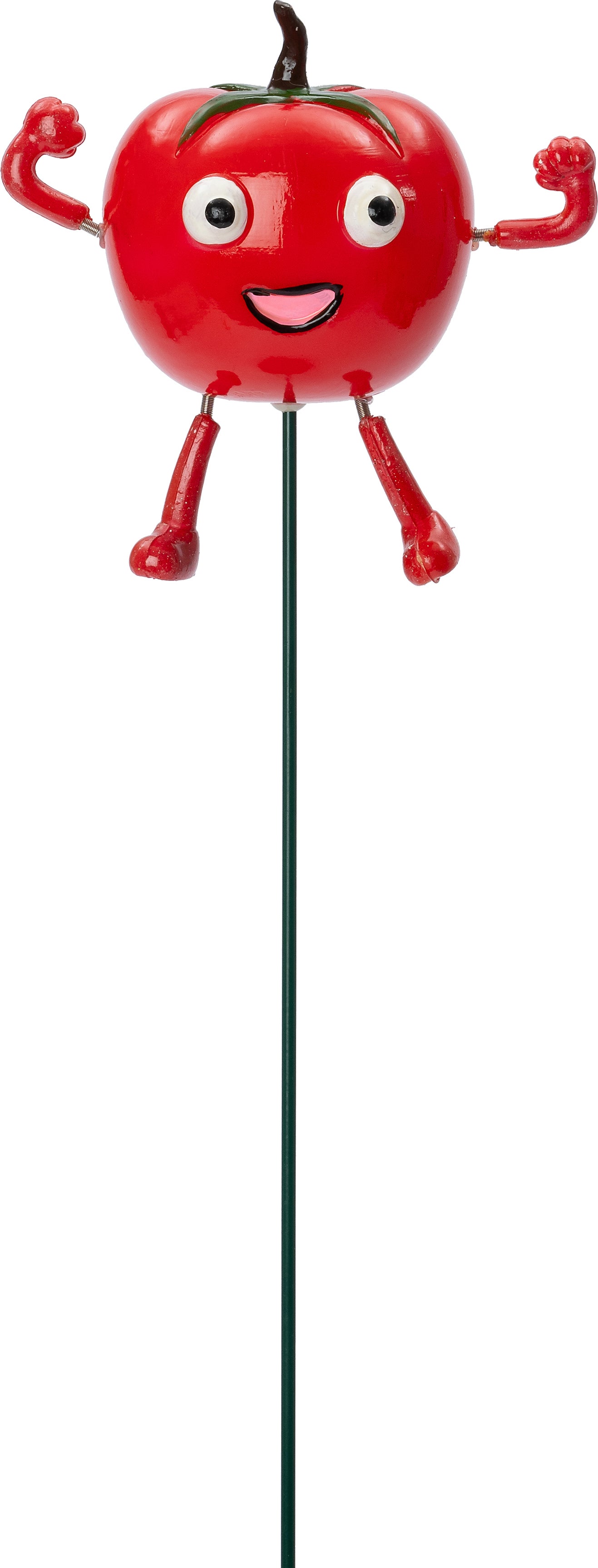 Intratuin tuinsteker tomaat rood 10 x 6 x 67 cm