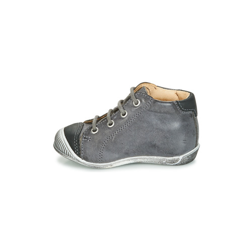 GBB - NOE - Gris