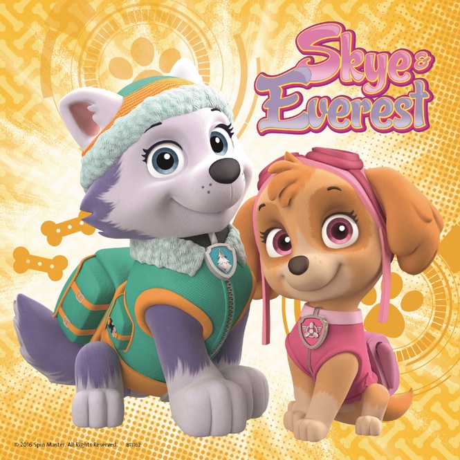 Puzzle-Box - Paw Patrol - Bezaubernde Hundemädchen - 3x 49 Teile