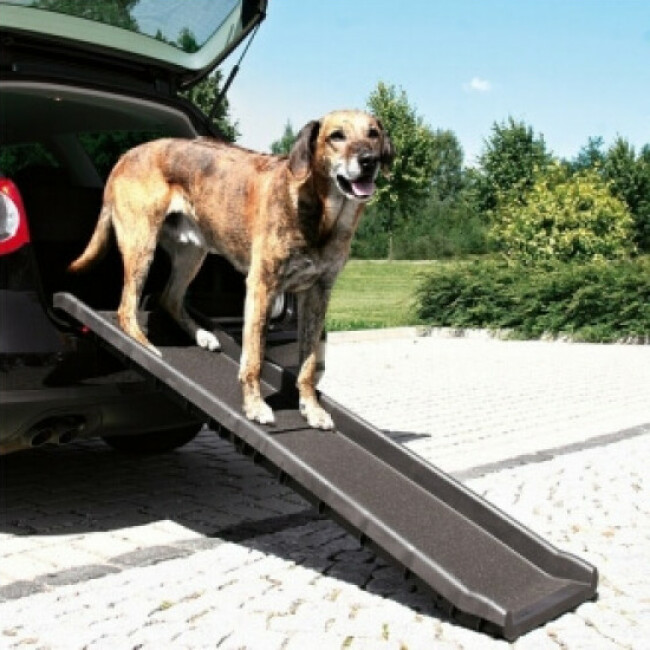 Rampe d'accès pliable pour animaux 155 cm x 40 cm Trixie