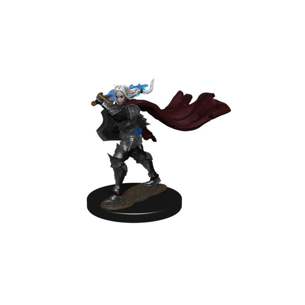 Pathfinder Battles Premium Painted Figure - Elf Paladin Female
