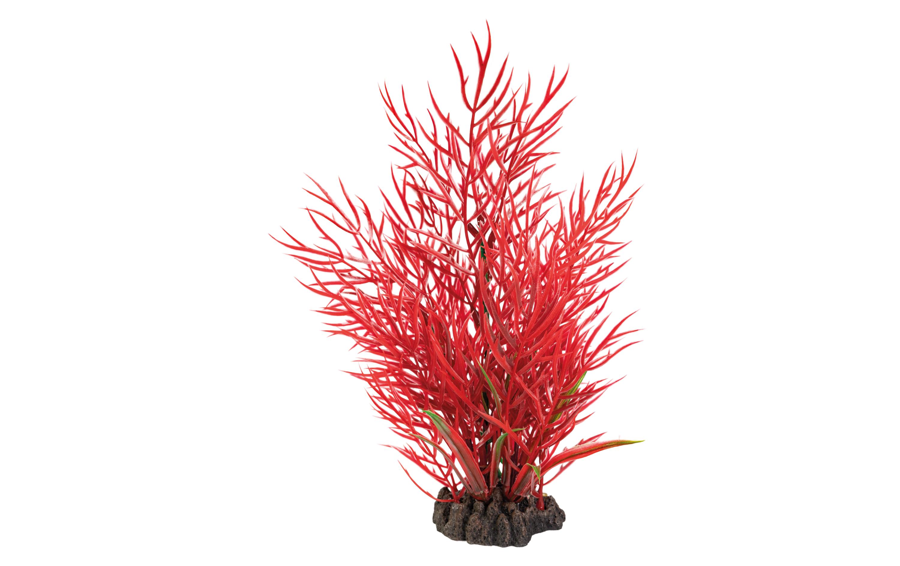 Kunstpflanze Ludwigia, 25 cmWunderschöne, realistisch aussehende Kunstpfanze