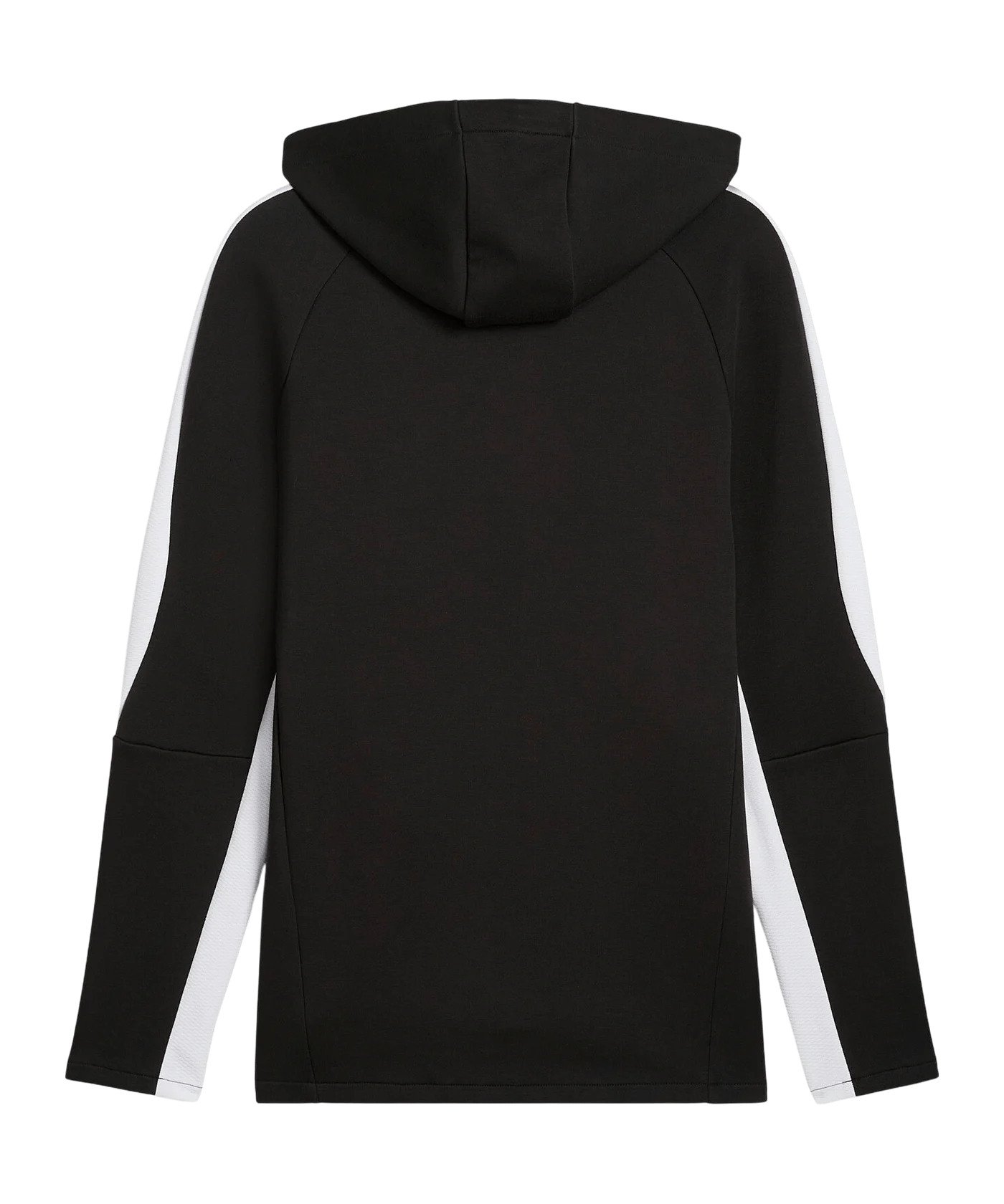 PUMA teamEvostripe Hoody Schwarz F03