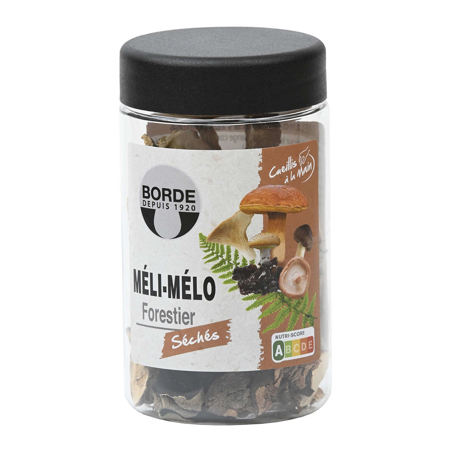 Mélange de champignons forestiers séchés