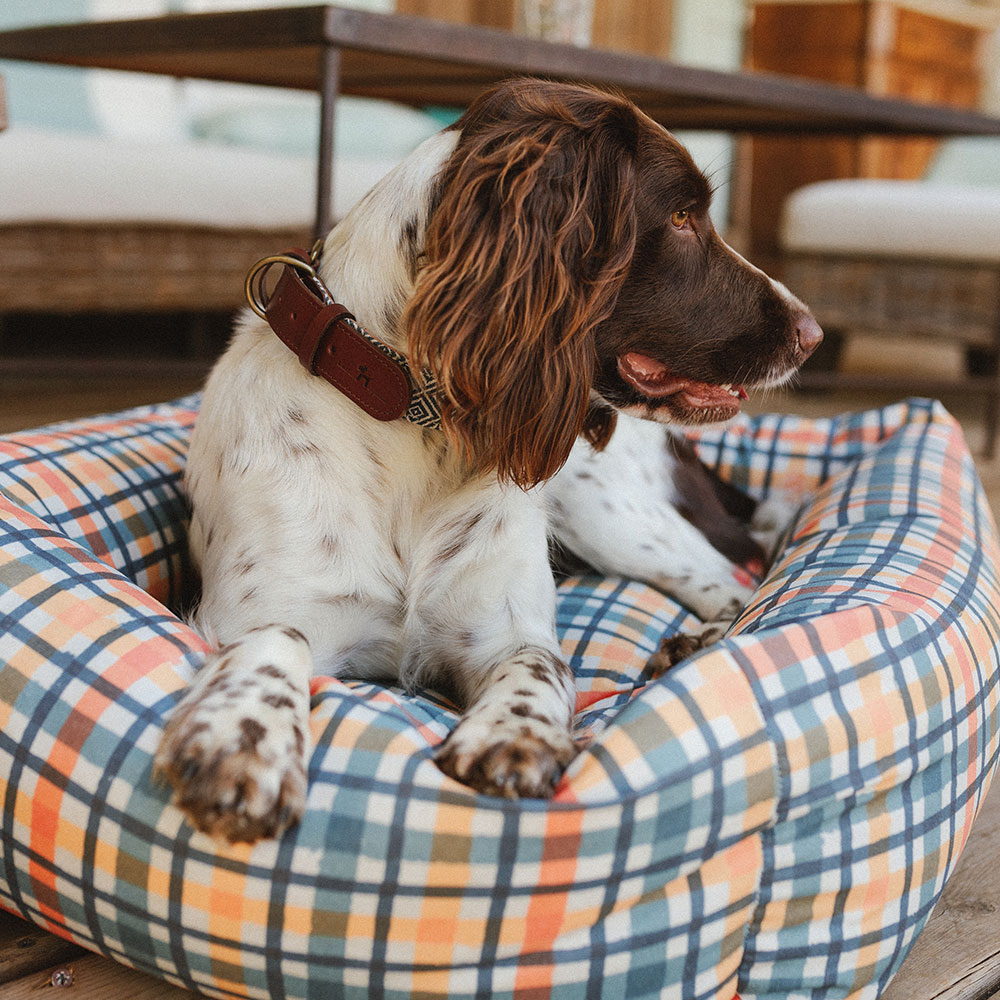 Cama impermeável Bark Gaucho Picasso para cães e gatos