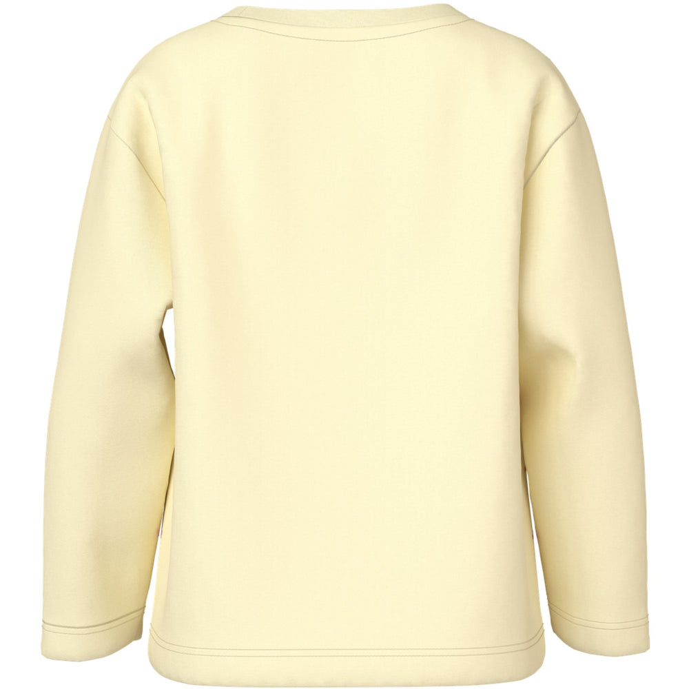 Køb Name It Pear Sorbet Fun Stripe Nmfveen Ls Nreg Top