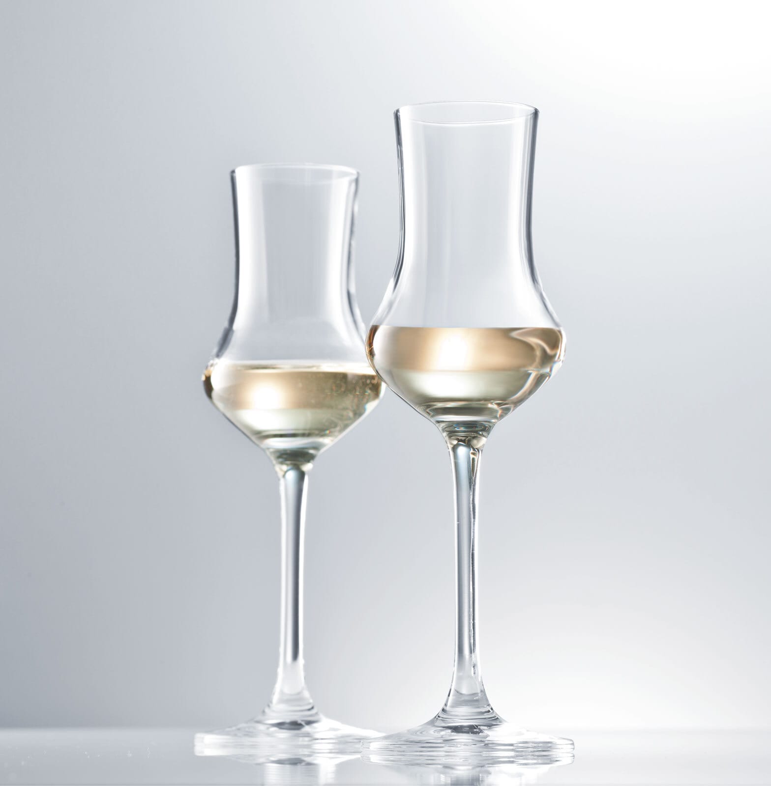 SCHOTT ZWIESEL Digestifglas CLASSICO 6er Set - je 95 ml